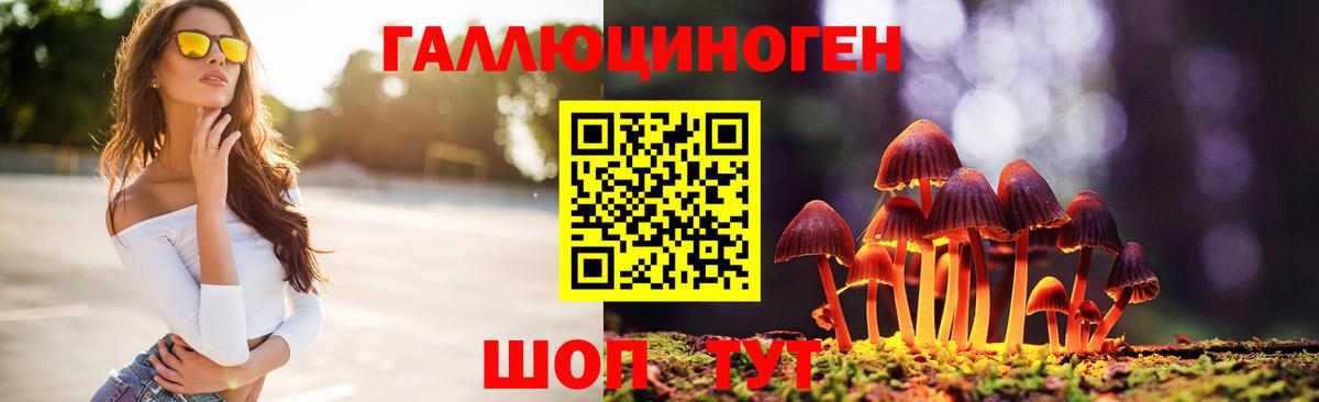 купить  цена  Псилоцибиновые грибы MAGIC MUSHROOMS  Вход с VPN  Псилоцибиновые грибы Psilocybe  Минеральные Воды 